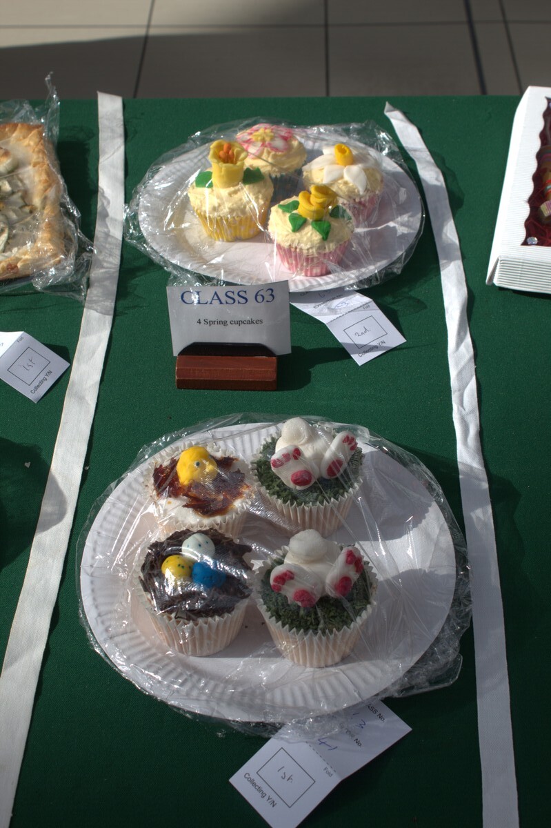 Spring Show 2026 4 Spring cupcakes Class